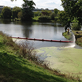 Barrage pour lentilles d'eau | DIFOPE